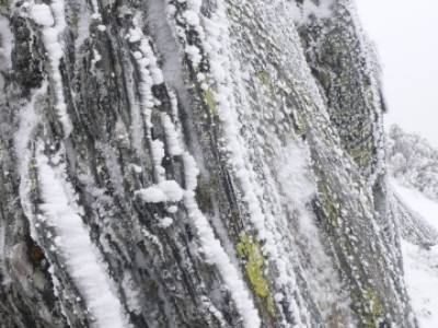 Hayedo de Pedrosa - Parque Natural Sierra Norte de Guadalajara - Hayedo de Tejera Negra